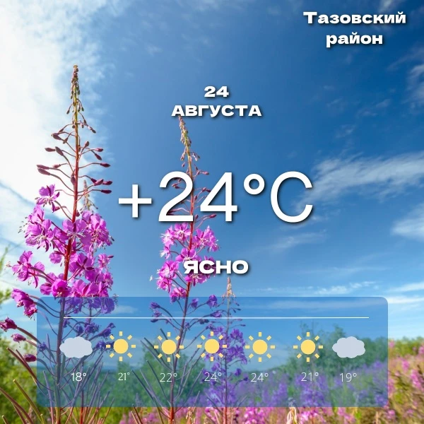 🌤️Прогноз погоды на сегодня