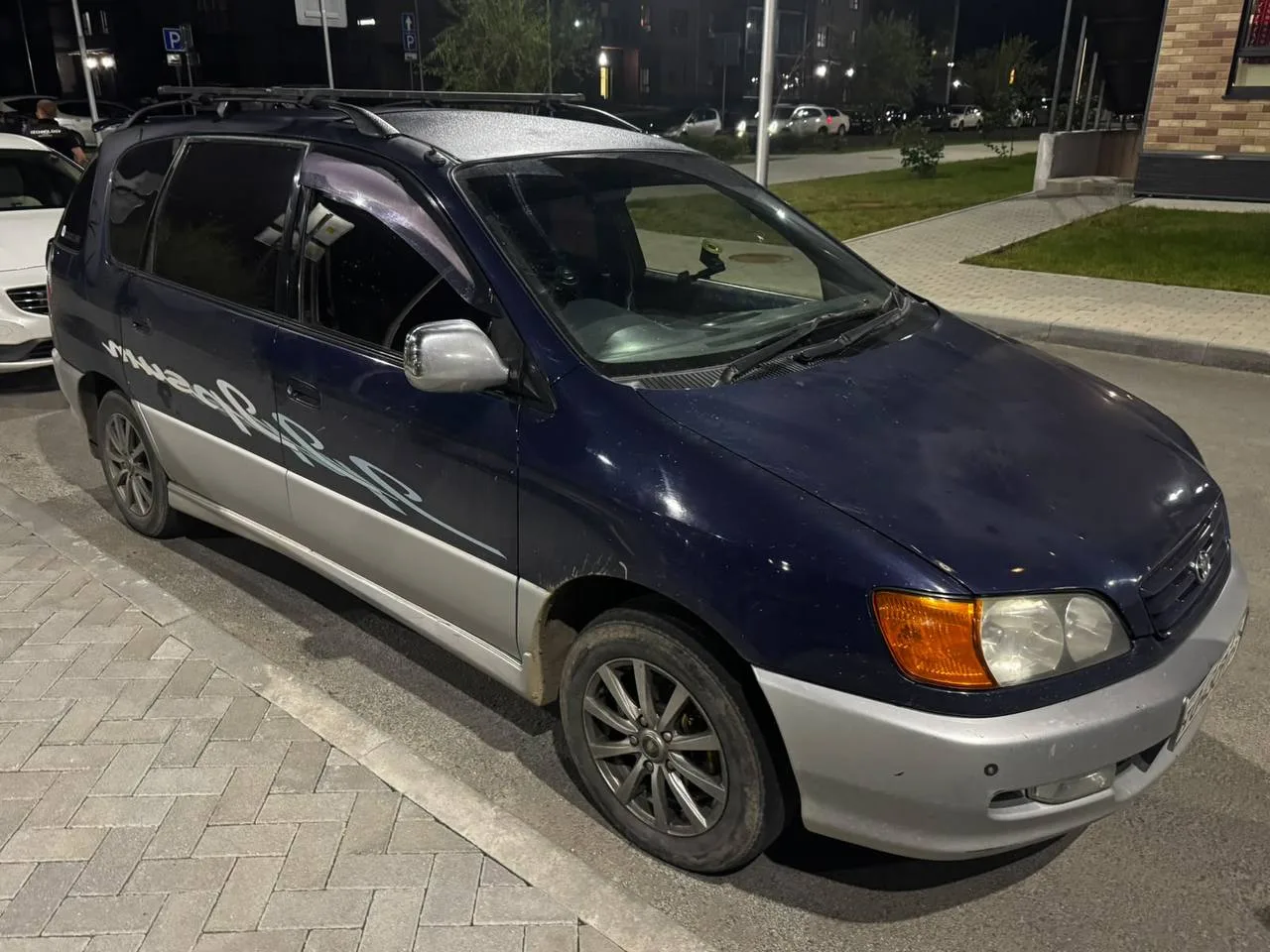 Ипсум 97 г