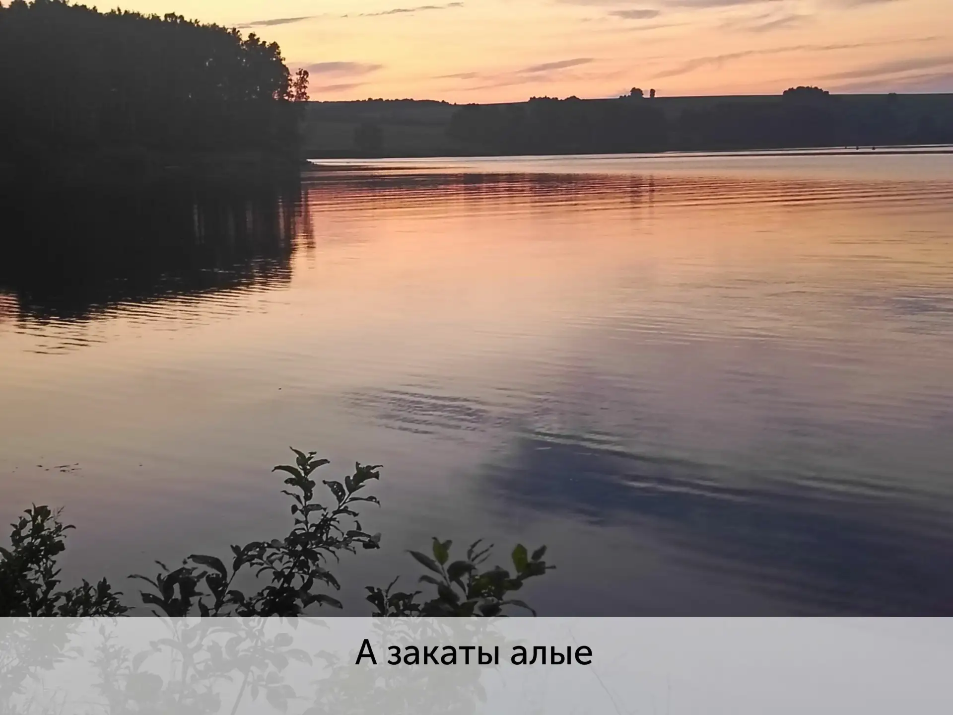 📸 Подведены итоги зрительского голосования фотоконкурса «С миром внутри»