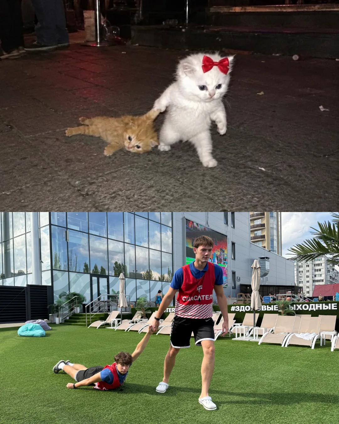 😂 Когда наш SMM ушёл в отпуск, а контент сам себя не снимет…