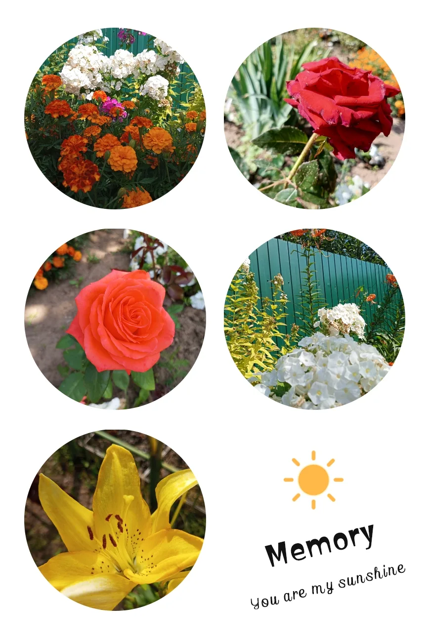 Фото