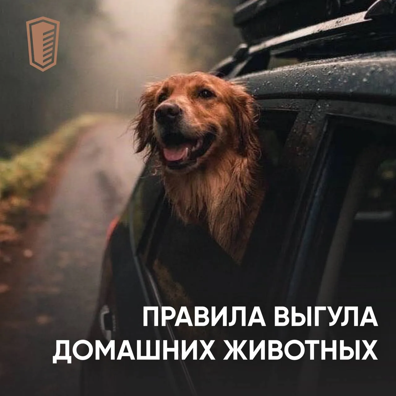 Уважаемые собственники,