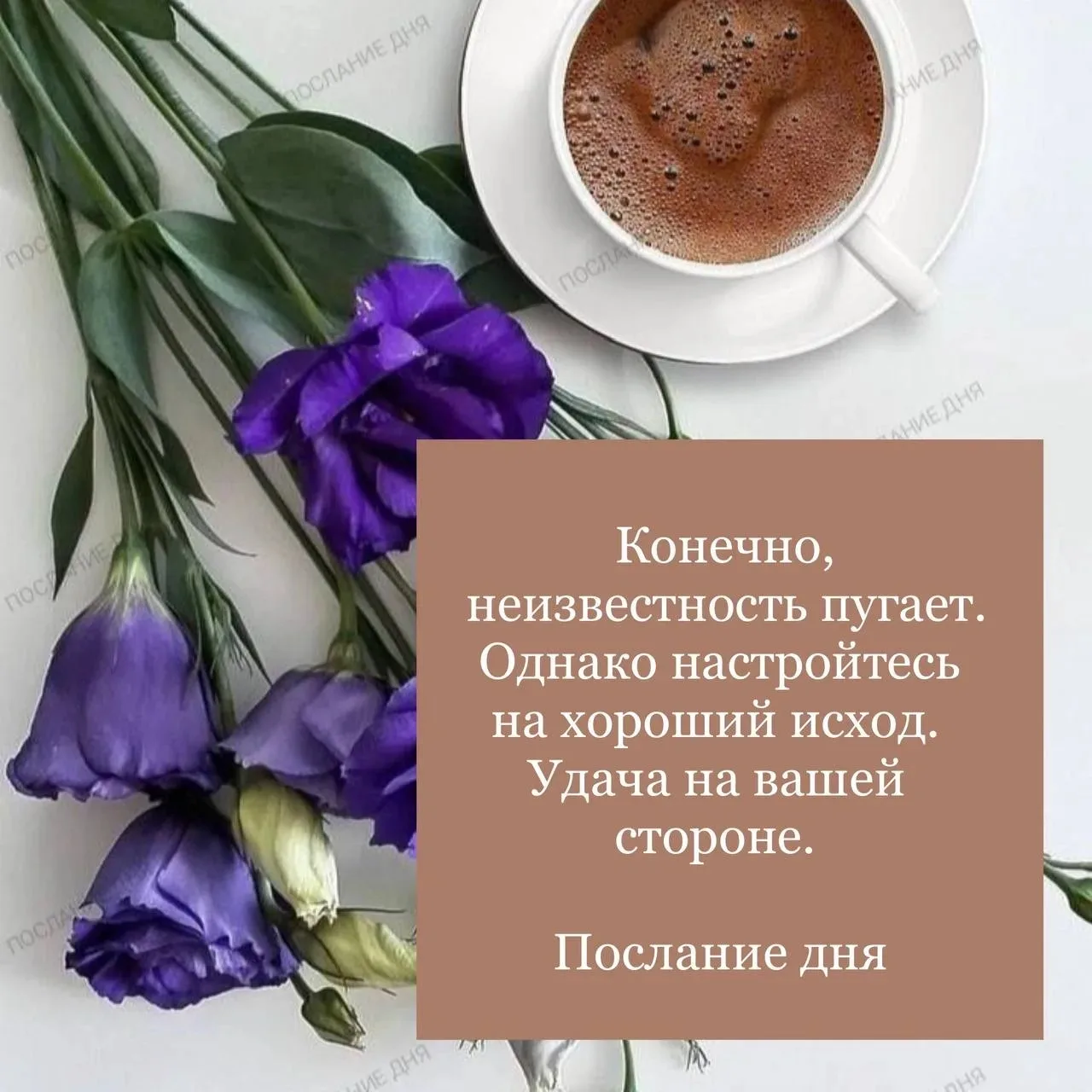 Начало недели, особенно с такой погодой - брррр! С утренним снегом в Красноярске- так с...