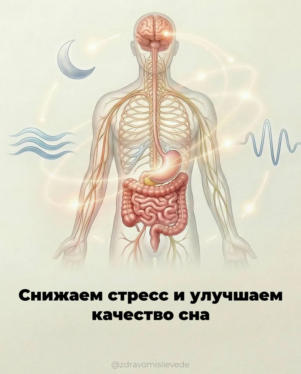 8 шагов по коррекции микробиома  Факт: ни одного дня мы бы не смогли прожить без микроорганизмов. Он