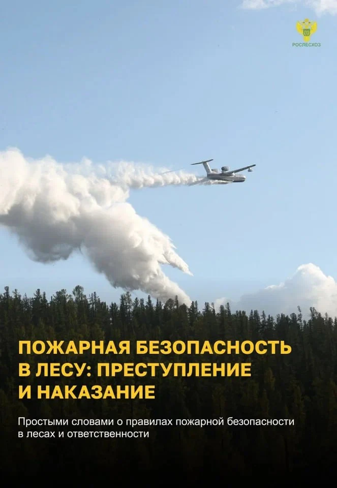 Памятка о правилах пожарной безопасности в лесу