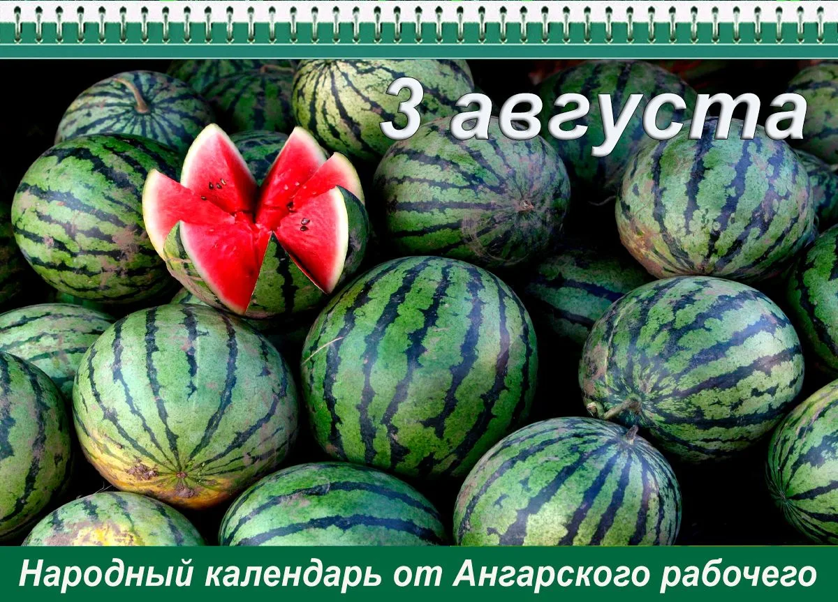 Почему сегодня надо стол помыть