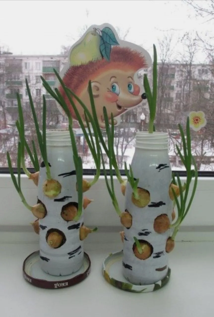 🌱 Подборка идей для оформления посадки лука на окошке  ‼️ Коллеги, рекомендуем наши полезные каналы 