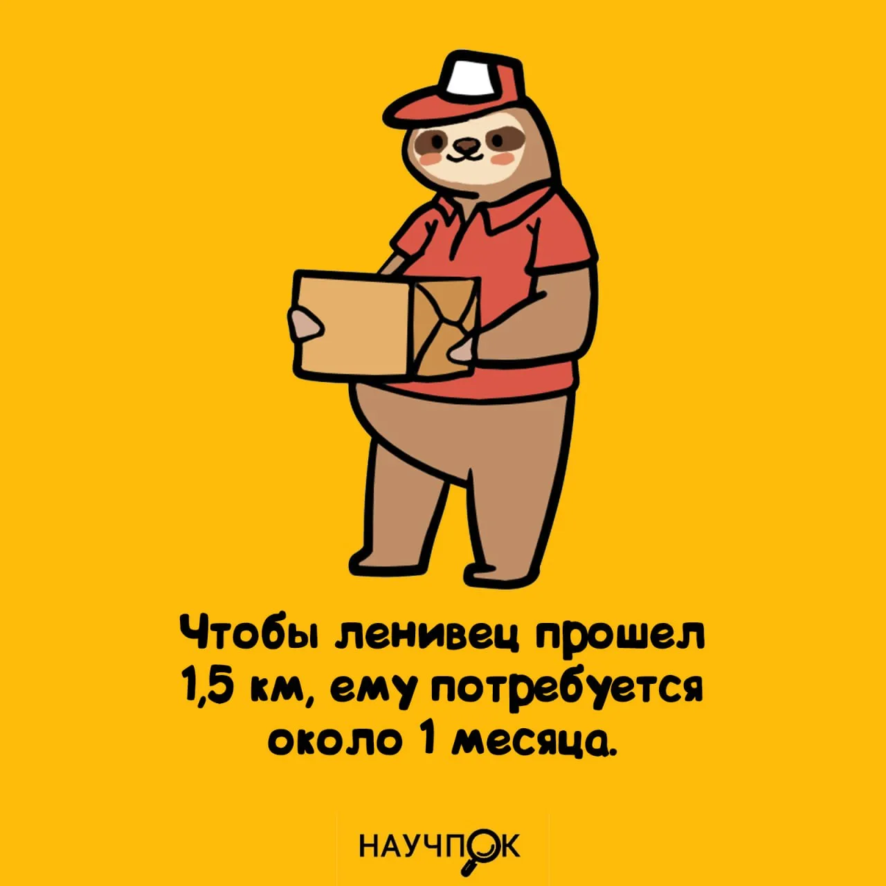 Научпок | Подписаться