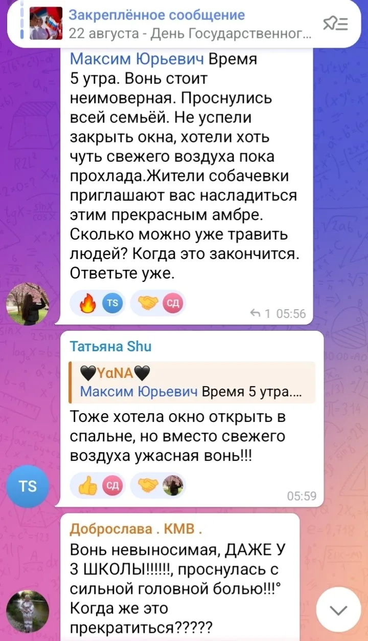 Запахи на Собачевке никого не волнуют 😭? - ситуация в чате главы города