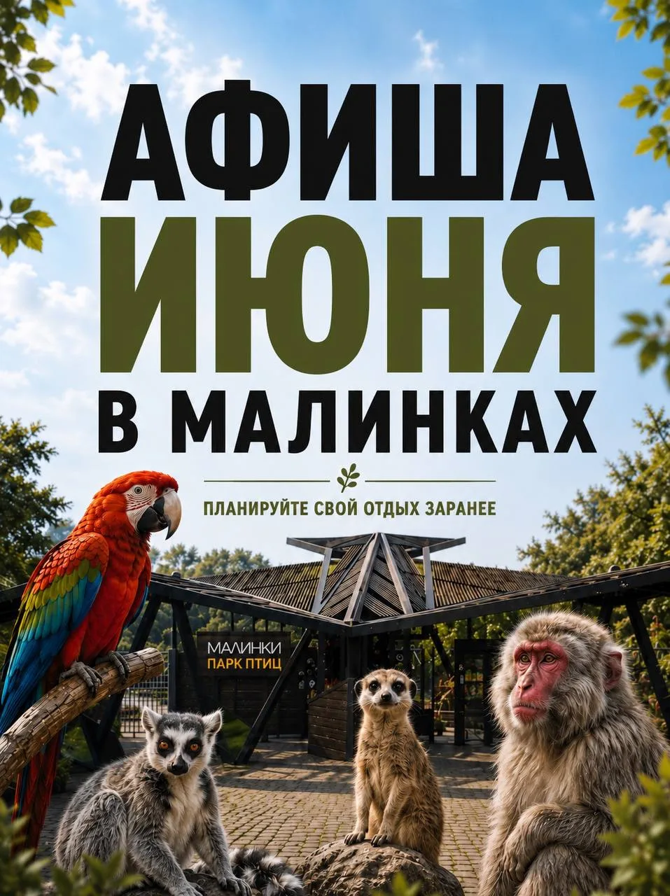 Афиша мероприятий в июне в Южном парке птиц «Малинки» 

🦘 20–21 июня — Битва континентов: Лемуры пр