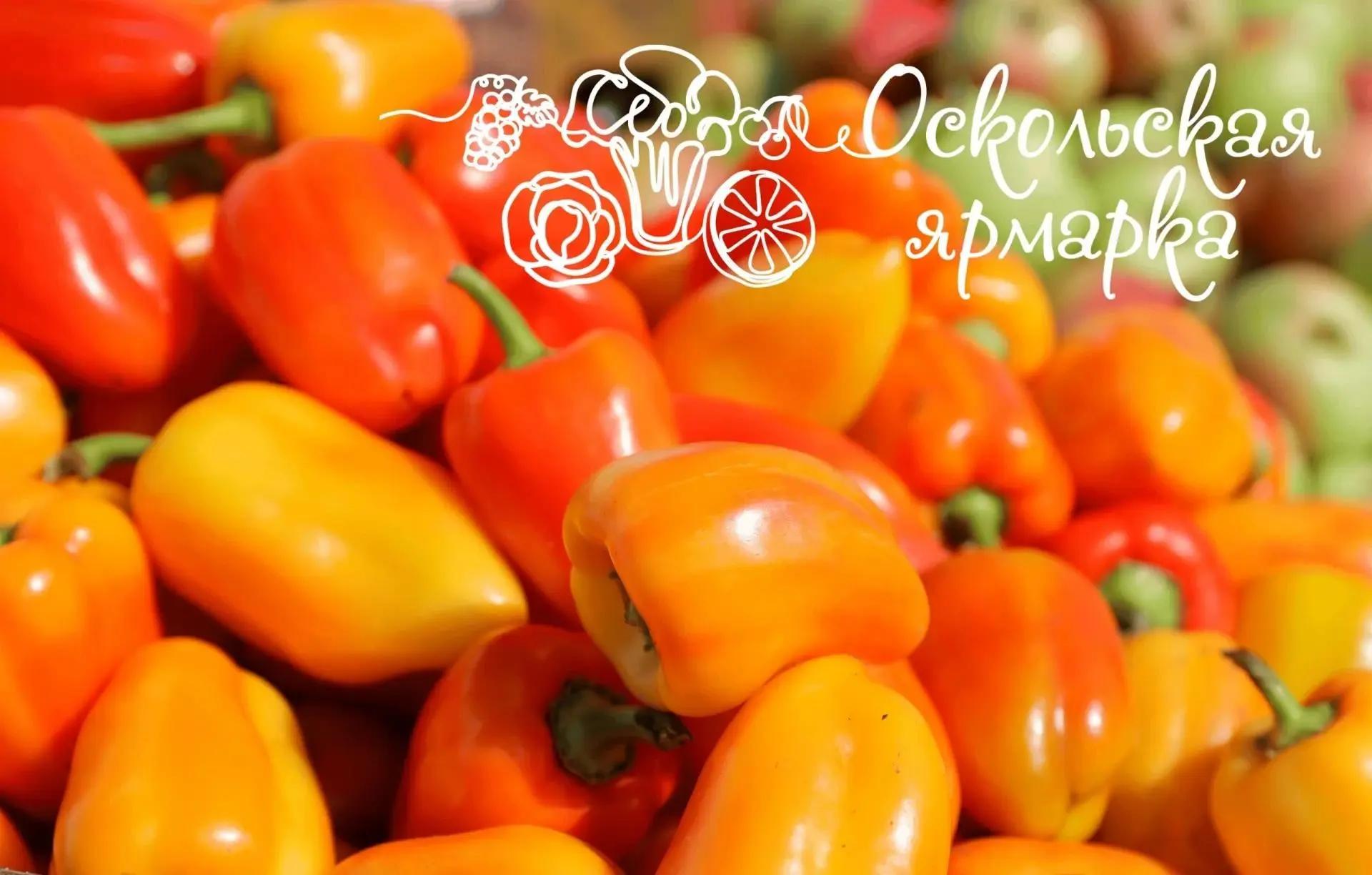 Фермерская ярмарка в Старом Осколе! 🌶️