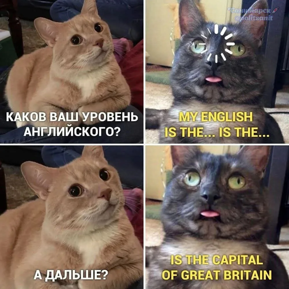Подтягиваем английский вместе с Санитарском