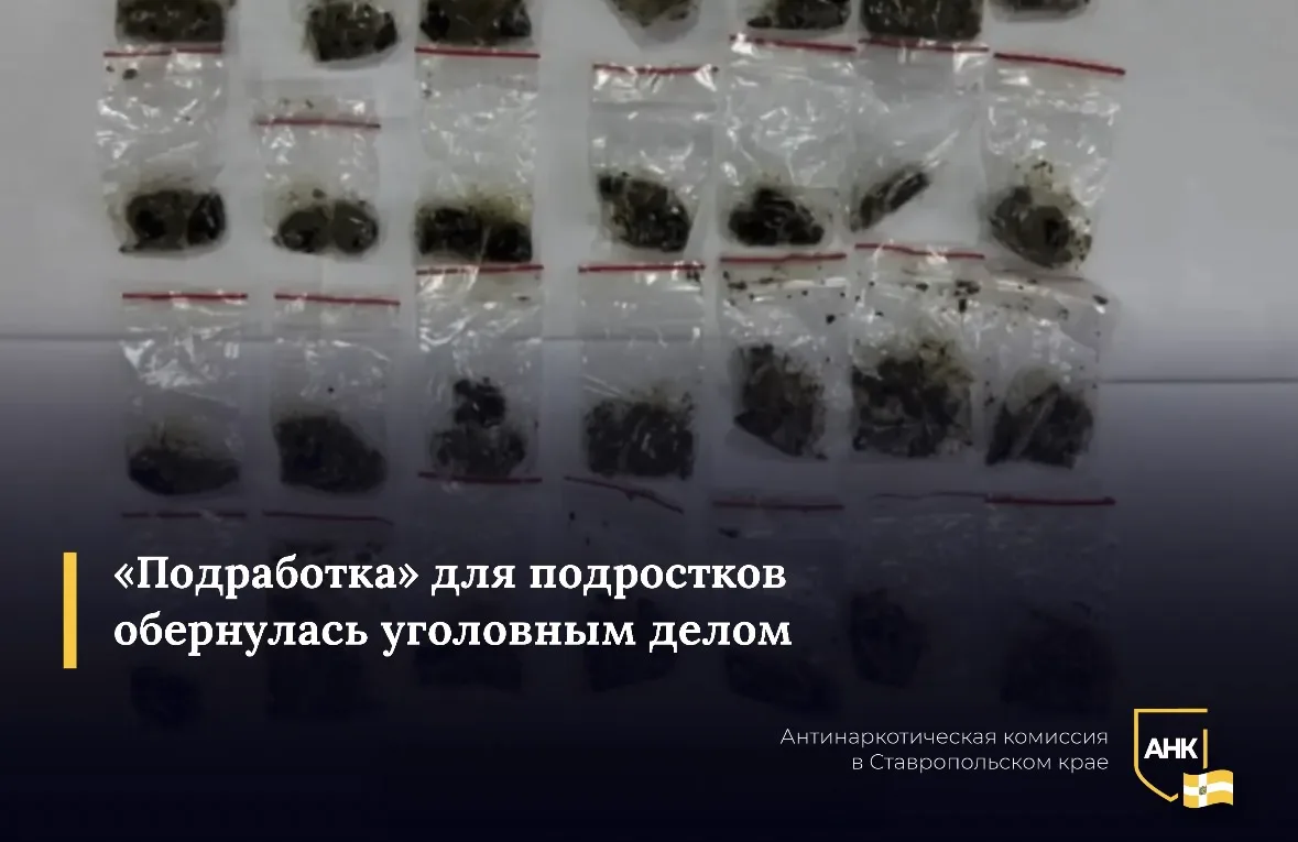 В краевой столице перед судом предстанут двое юношей 17 и 18 лет. По версии следствия, ...