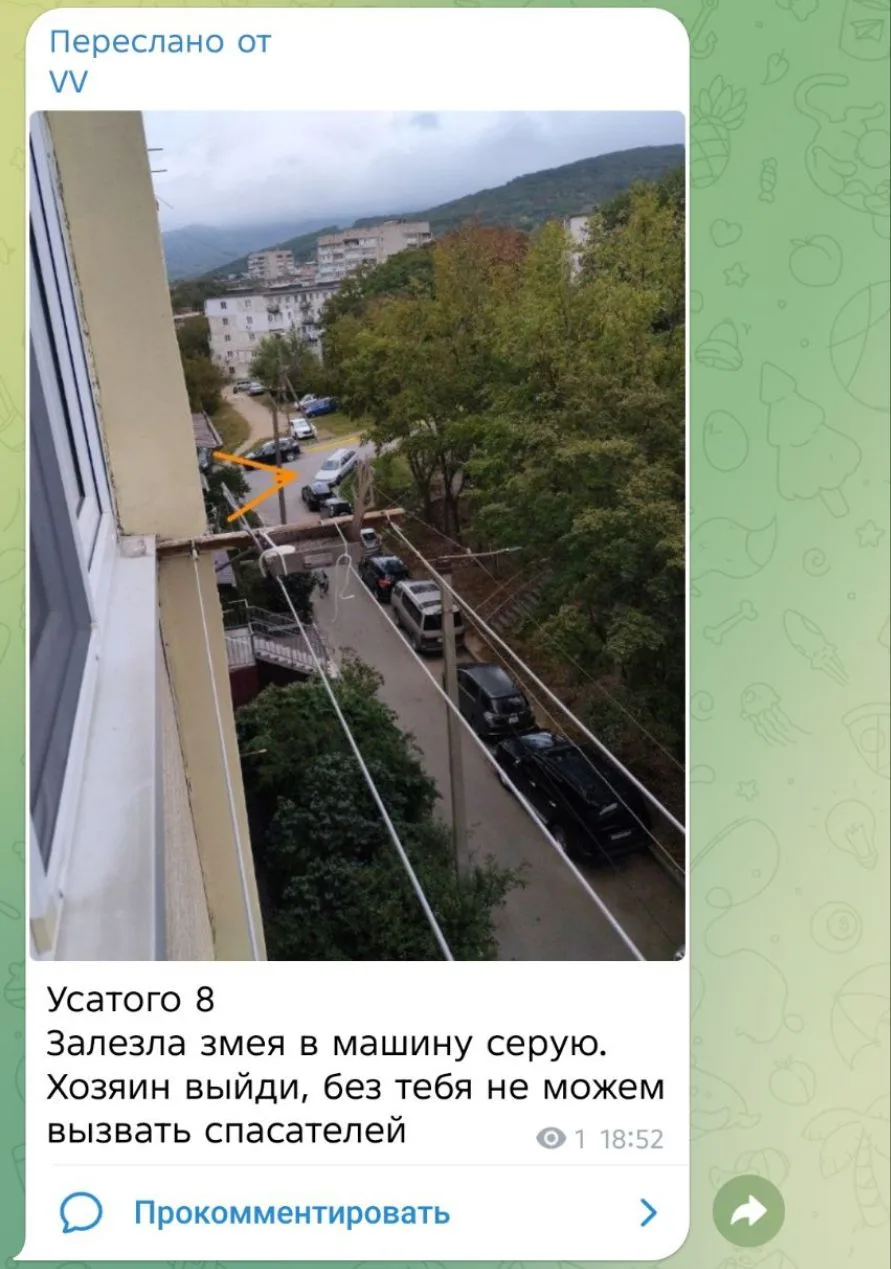 Внимание хозяина серого авто , припаркованного во дворе по ул.Усатого,8