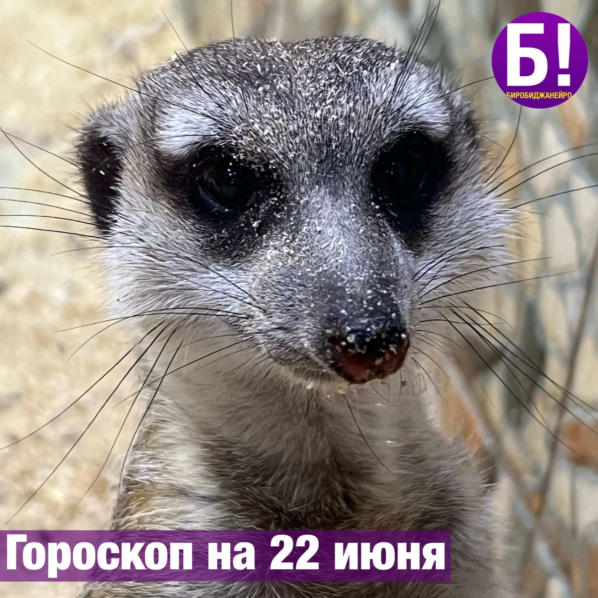 ♈️ Овен
Сегодня энергия бьёт ключом, поэтому направьте её на завершение давно отложенных дел. В обще