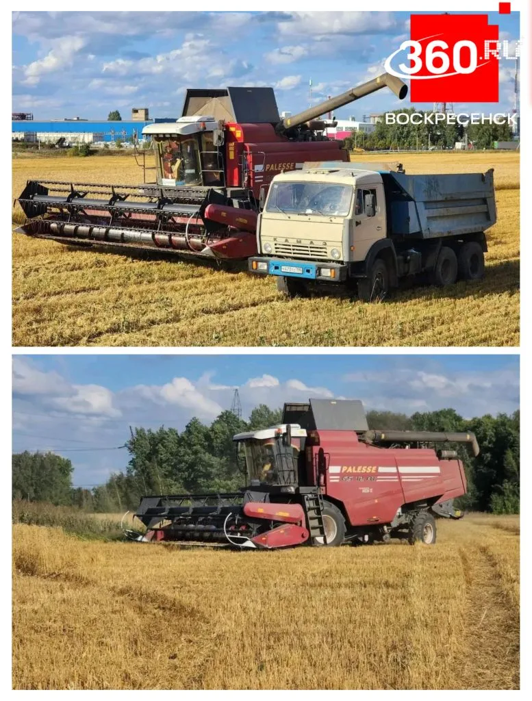 Сбор урожая в Воскресенске