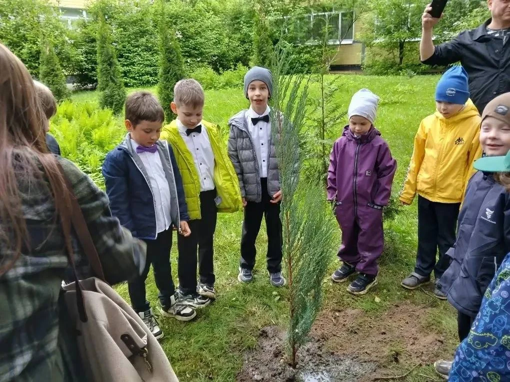 До свидания, детский сад! 🌿✨