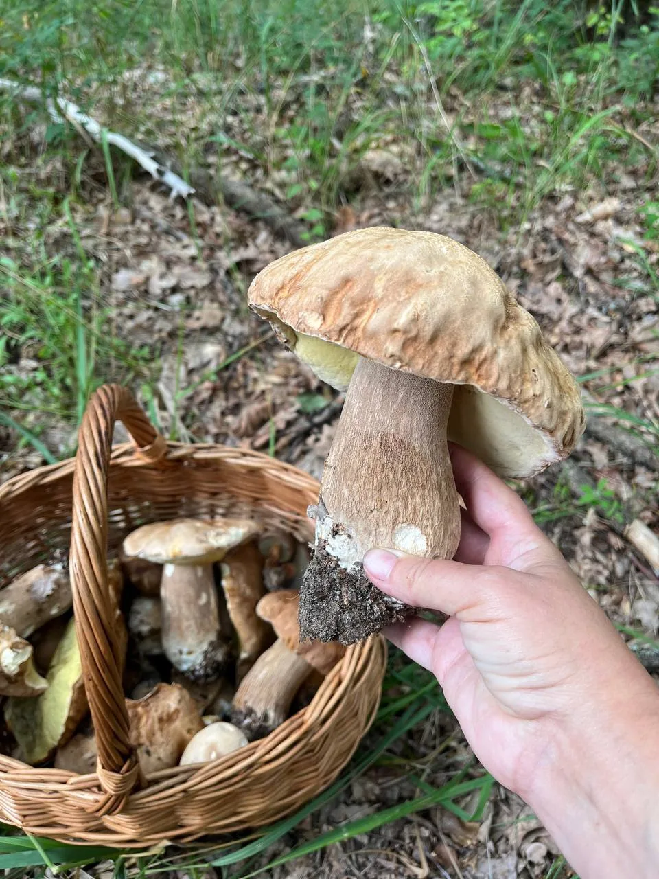 Похвалюсь нашим уловом
