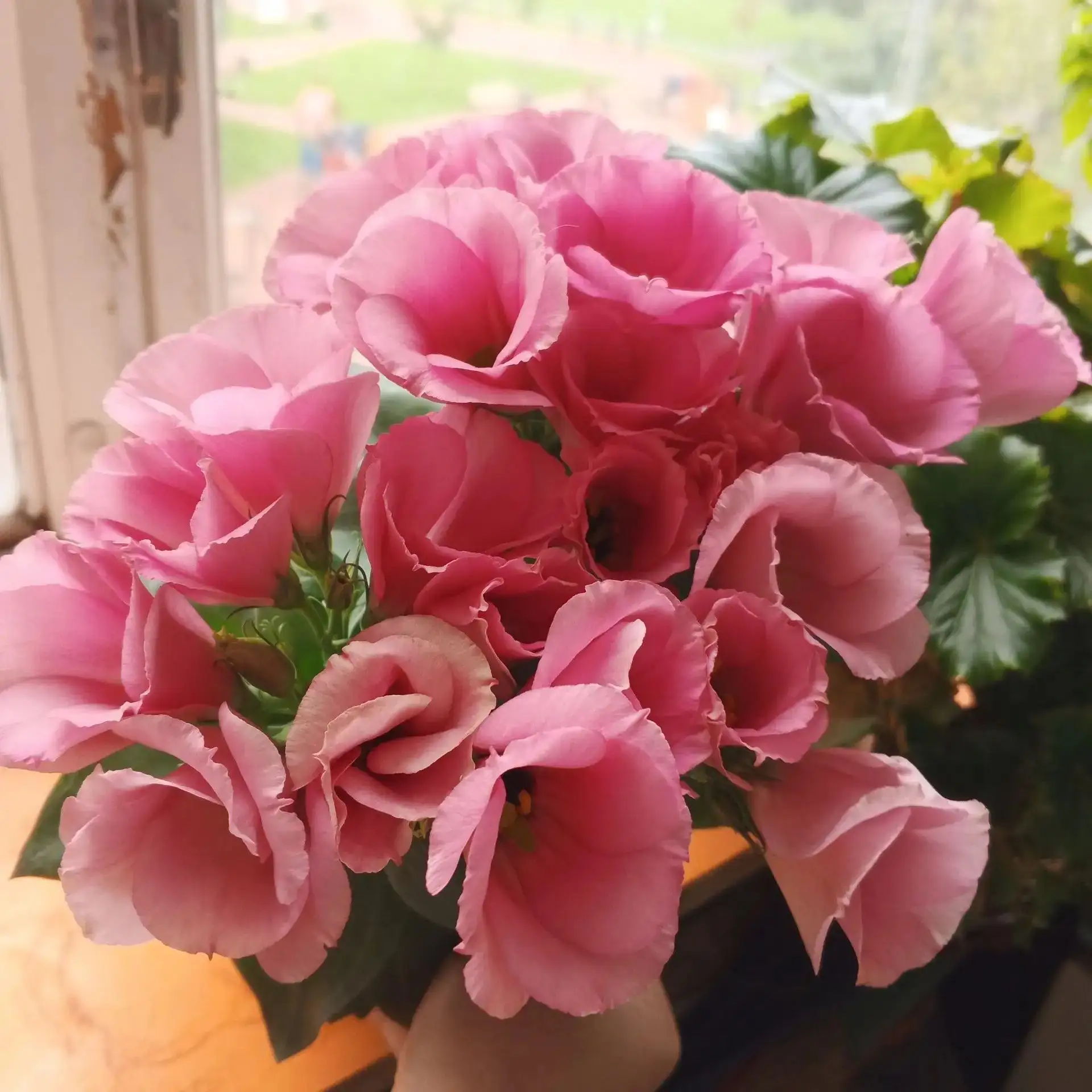 Доброе утро😍