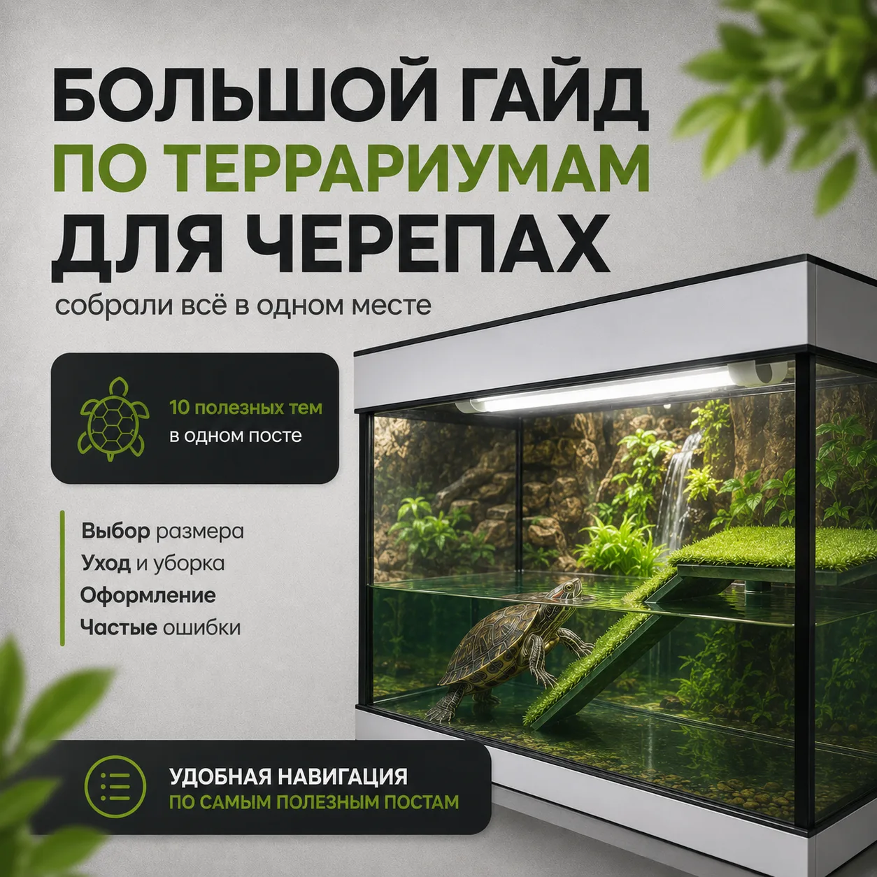 🐢 Большой гайд по террариумам для черепах: собрали всё в одном месте