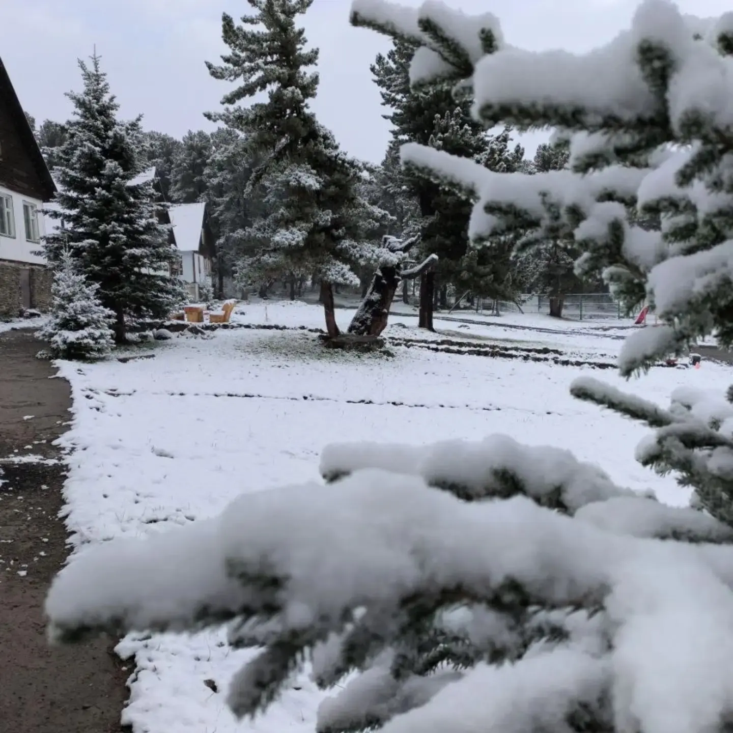 1 сентября на Семинском перевале выпал снег ❄️