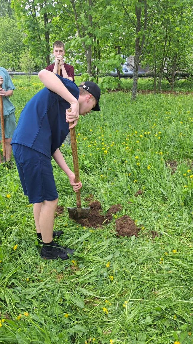 🌱🍒 Продолжаем добрые традиции нашей школы! 🍒🌱