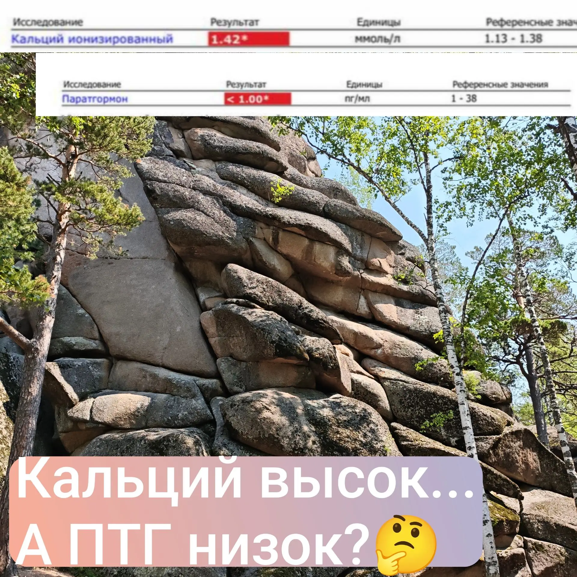 👩‍⚕️Не так давно вела очередной диалог с владелицей кота с идиопатической гиперкальциемией.
Не редк