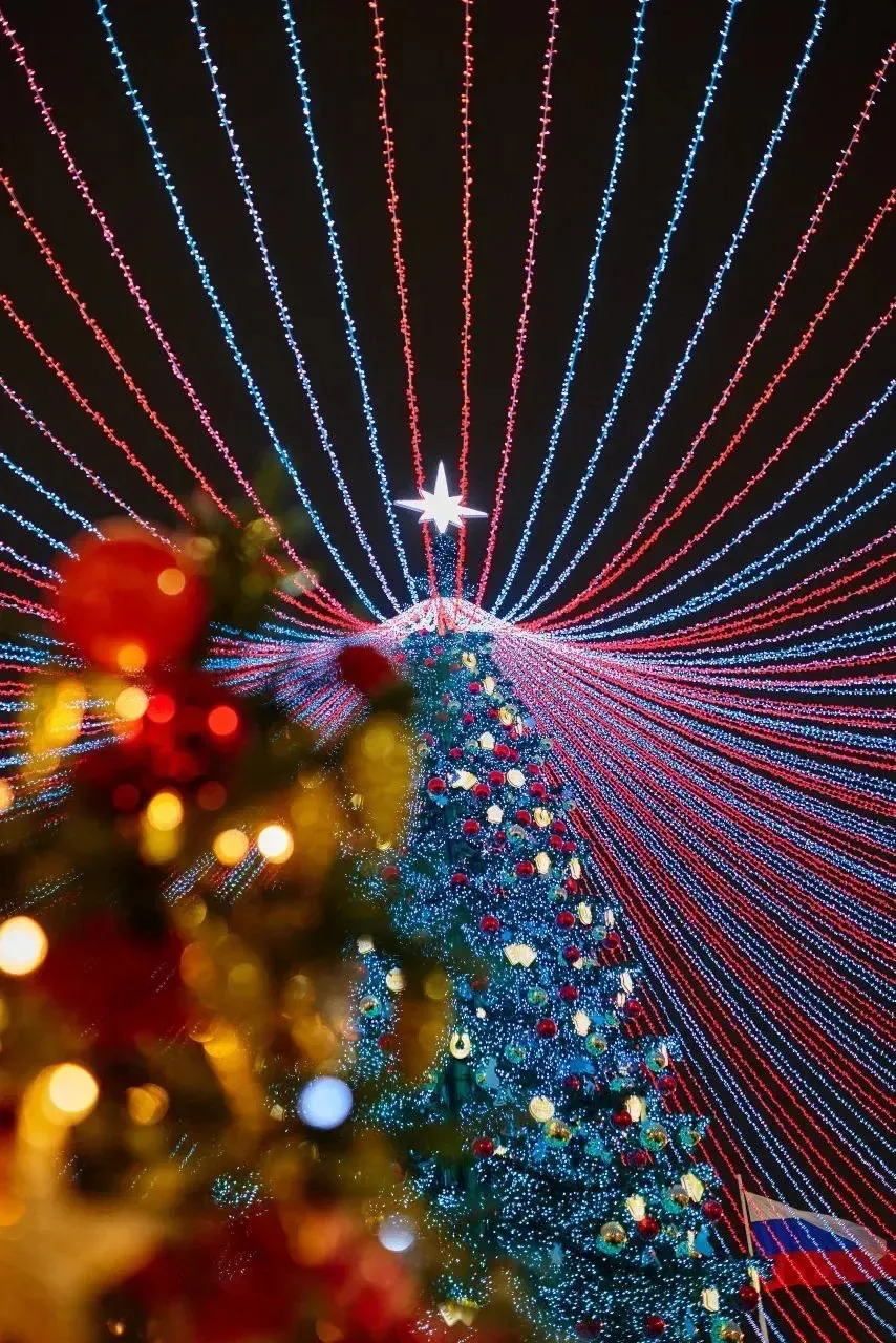 ✅ Голосуем за Тулу – за самую высокую елку в России!🎄