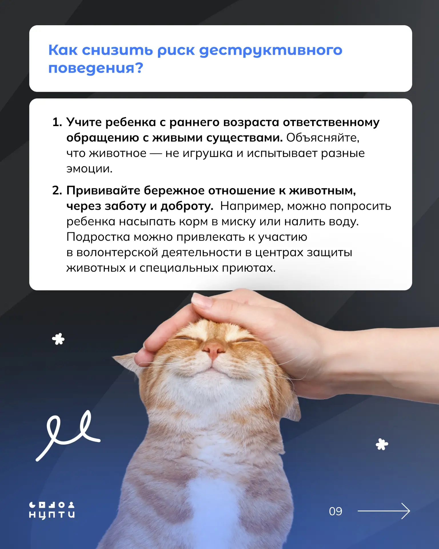Изображение 9 к публикации «НЦПТИ»