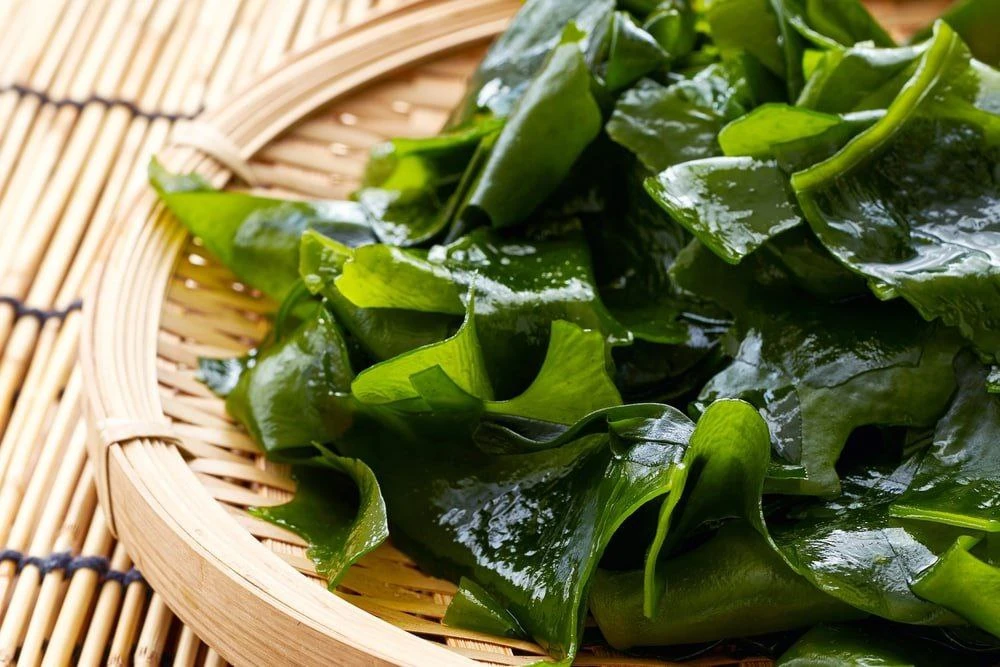 Польза морской капусты для женщин🌿