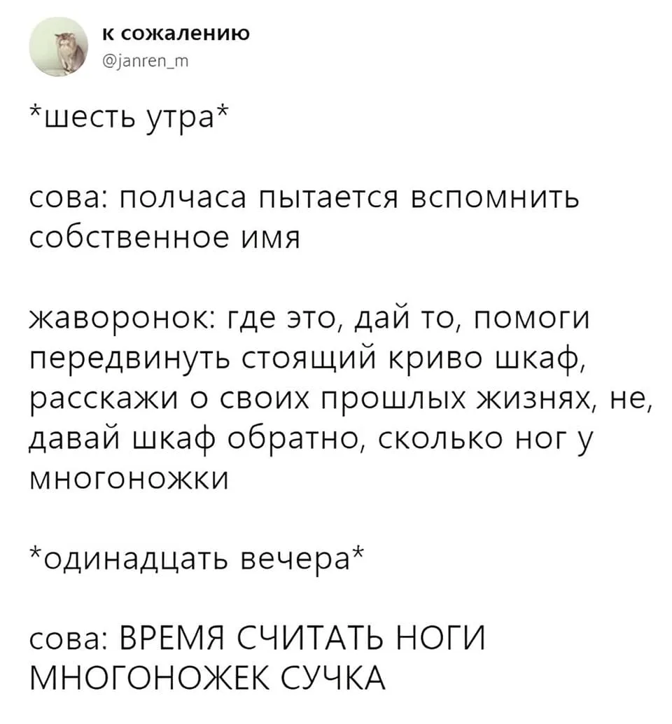 Мой любимый мем про жаворонков и сов)
Муж подруги-жаворонка тоже его обожает)))