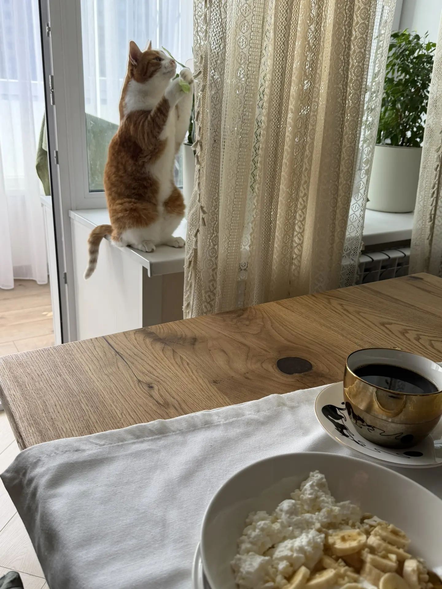 Да какой там творог с йогуртом, орешками и бананом и мёдом, когда такие кадры 🎞️ тебе ...