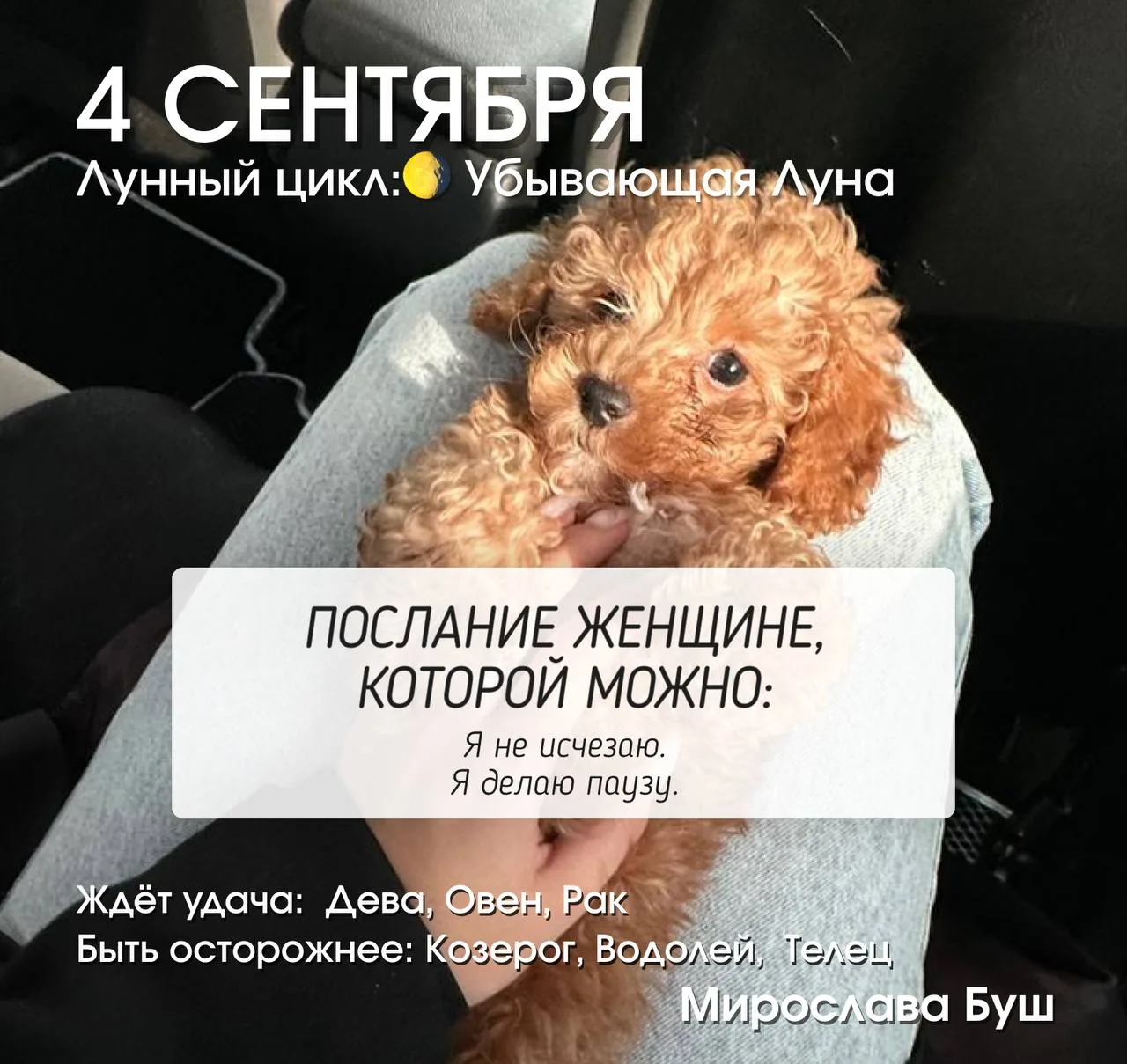 4 сентября РЕКОМЕНДАЦИИ 🔥