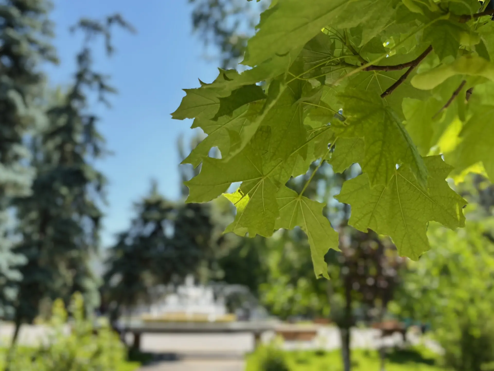 ⛲️Момент, когда краски сами складываются в гармонию