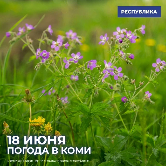 Погода в Коми на 18 июня

Переменная облачность. Местами кратковременный дождь, днем на юго-западе в