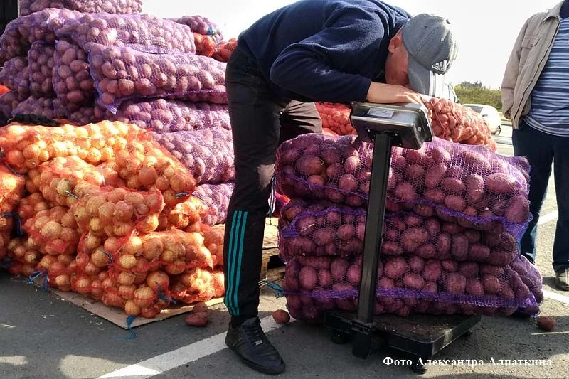 Картошка дешевеет, а бензин — нет: что произошло с ценами в Зауралье за неделю
