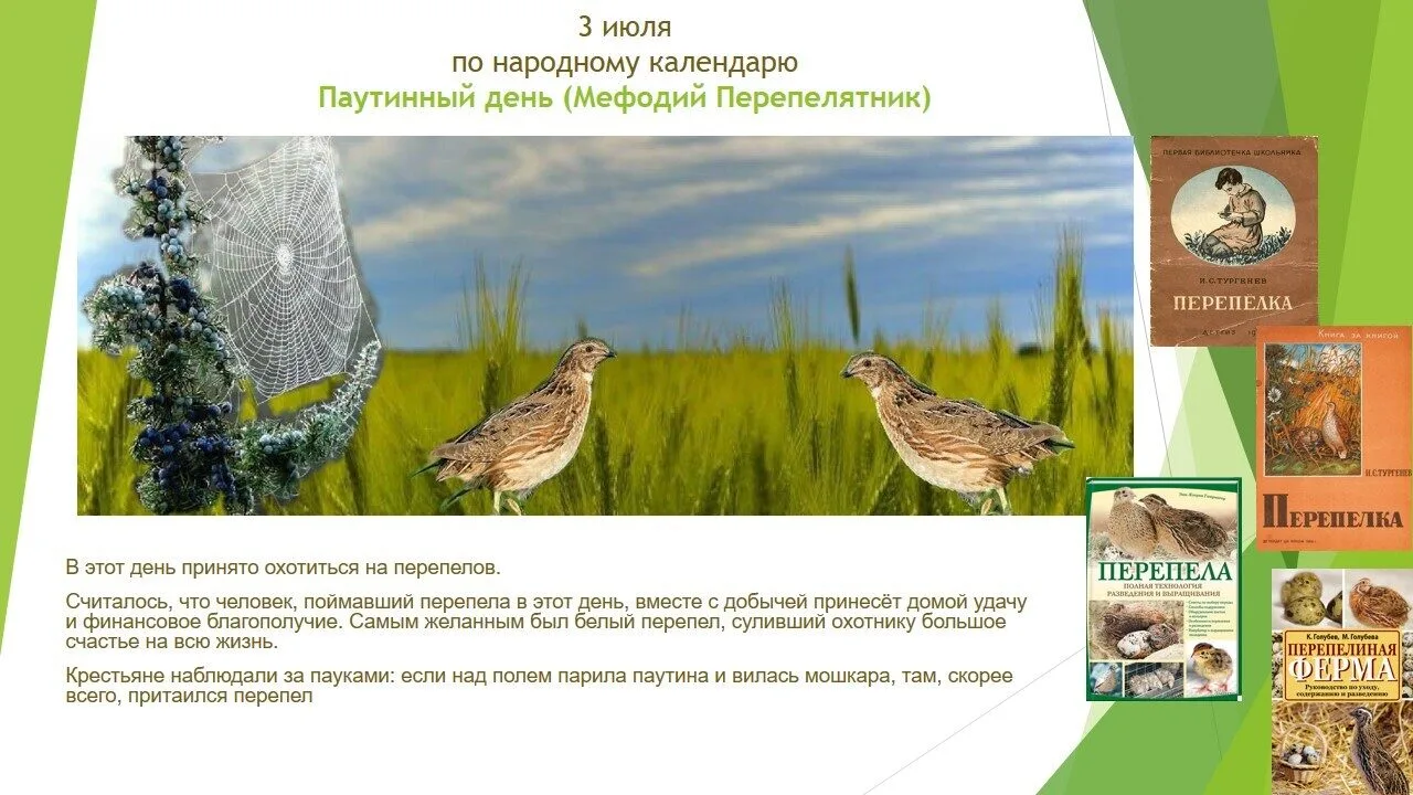 Знакомим с датой народного календаря.