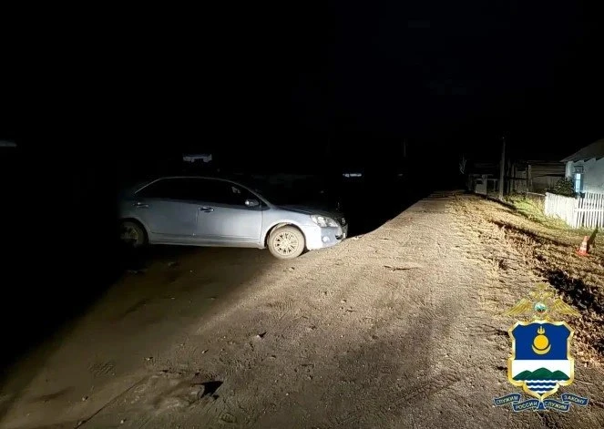 Открывала ворота: пенсионерка погибла под колесами авто своей пьяной дочери.