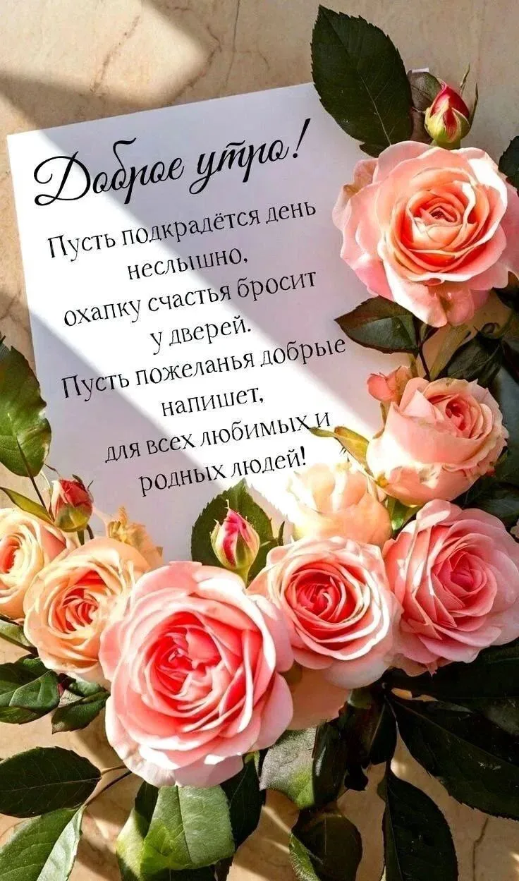 #сдобрымутром 

Вам не сложно мне приятно 😉Поставьте реакцию ❤️, если понравилась открытка 🥰
Тебе 