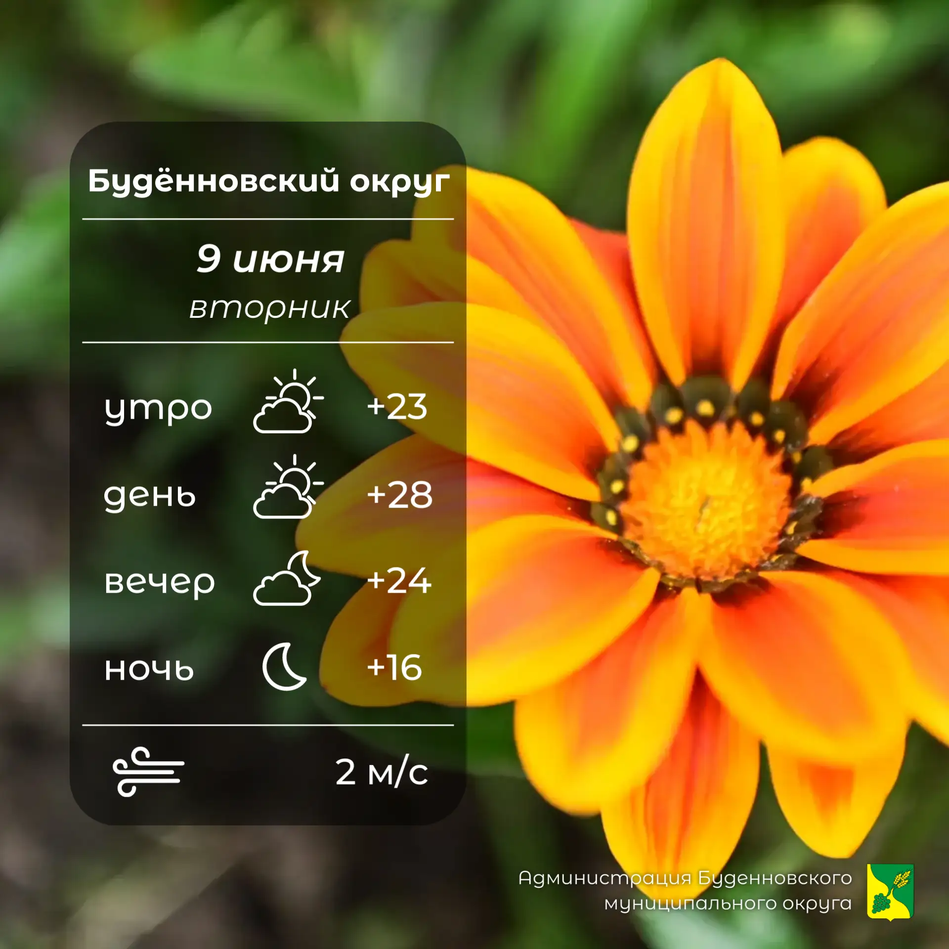 ⛅Сегодня в Буденновском округе переменная облачность, без осадков. Температура воздуха ...