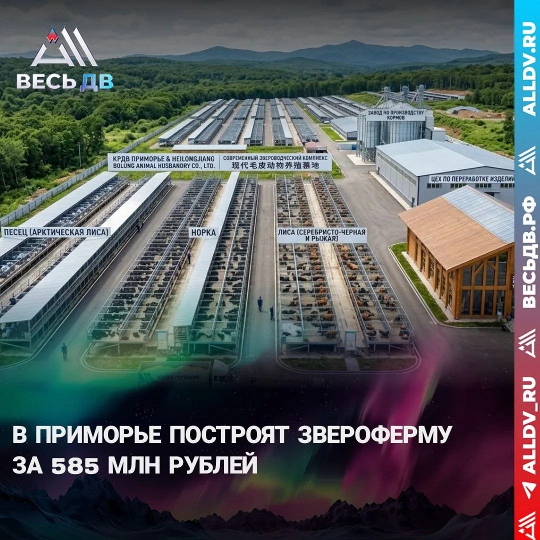 Китайский инвестор займётся разведением песца, норки и лисы