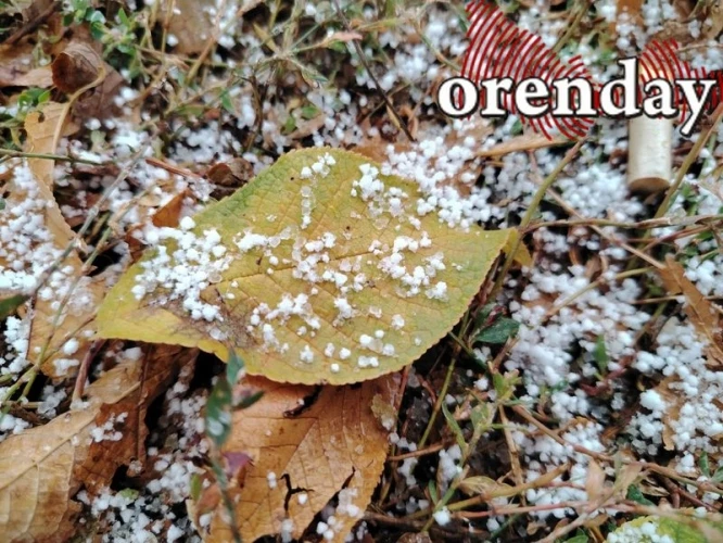 Погода  в Оренбурге