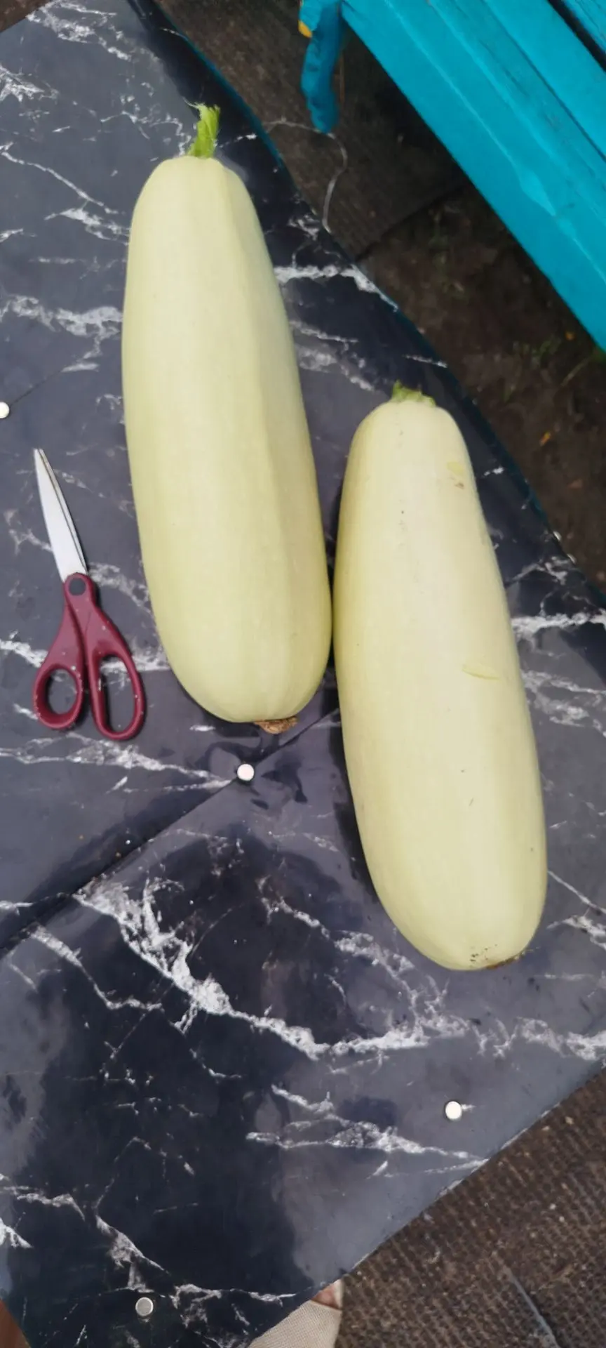 Есть кабачки , 1 шт (любого размера) 70 ₽. Свороток. 89835913211