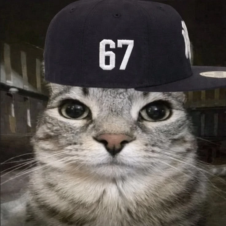 Мемные 67 авы 🤣