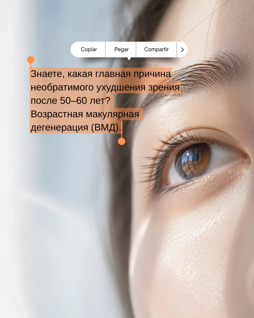 💡 Природа придумала встроенный солнцезащитный фильтр для глаз