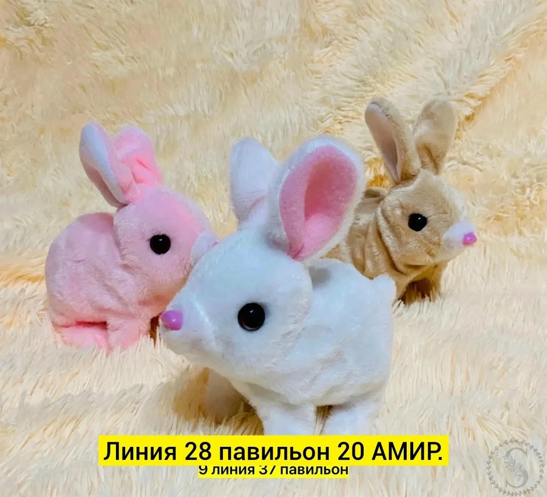 https://vk.com/photo-184814919_492942982