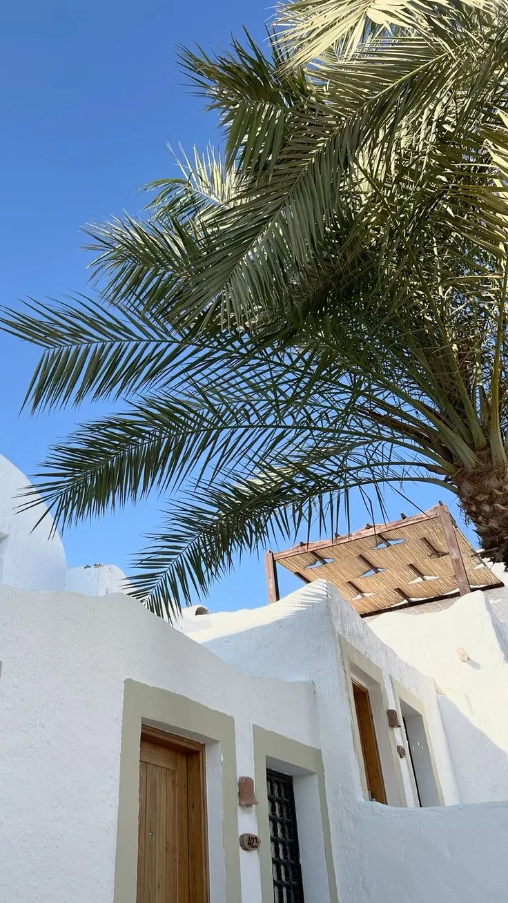 Предложение дня!
За 179 000 ₽ на двоих в Египет на пол месяца 🇪🇬

Никаких доплат, прямой перелет, 