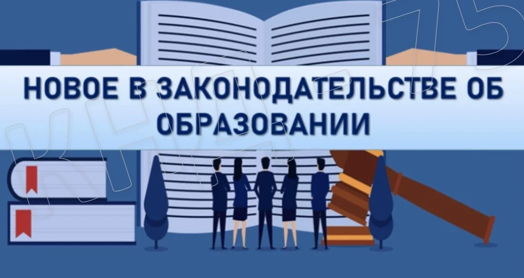 Порядок организации и осуществления образовательной деятельности по основным общеобразо...