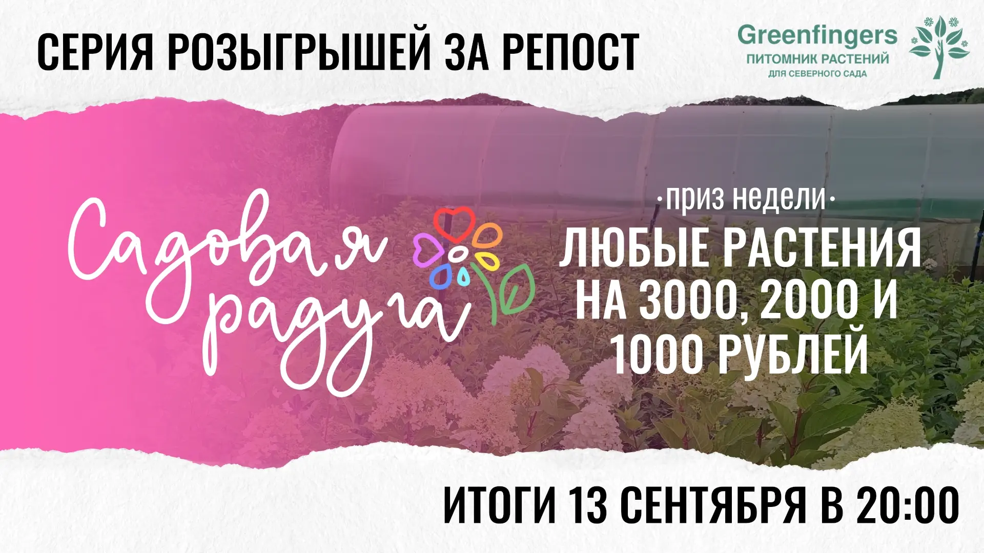 Завершающий розыгрыш "Садовой радуги 2026" уже запущен! https://vk.ru/wall-147633868_24814