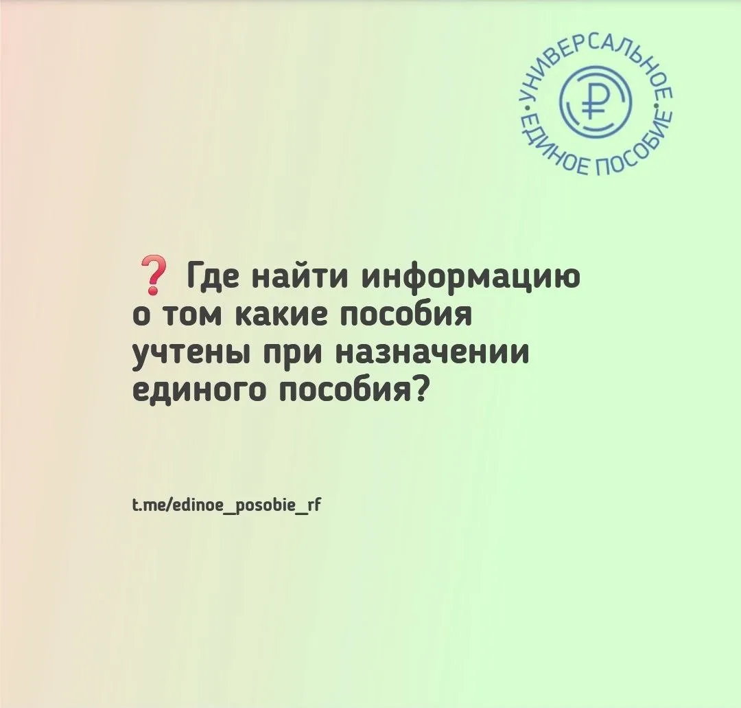 ❓ Где найти информацию о том какие пособия и доходы были учтены при назначении единого ...